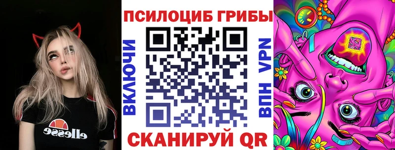Галлюциногенные грибы Psilocybe  Купить где  Белорецк 